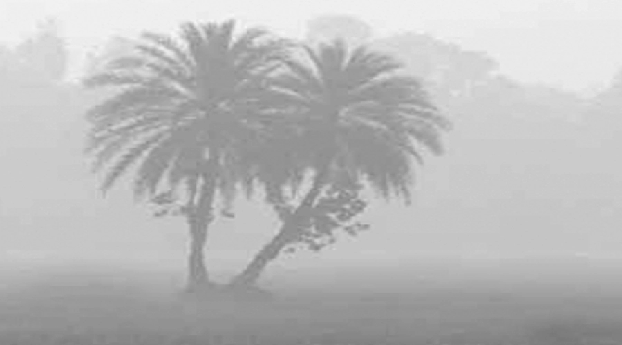 তেঁতুলিয়ায় তাপমাত্রা ১৩ ডিগ্রি  ¦ সংবাদদাতা