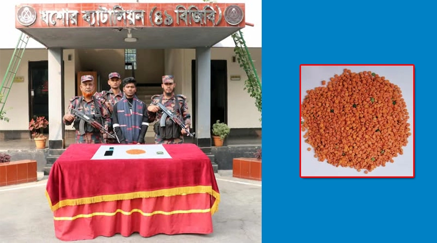 যশোরে বিজিবি অভিযানে ৩,৭৮২ পিস ইয়াবাসহ যুবক আটক ¦ ছবি: গ্রামের কাগজ