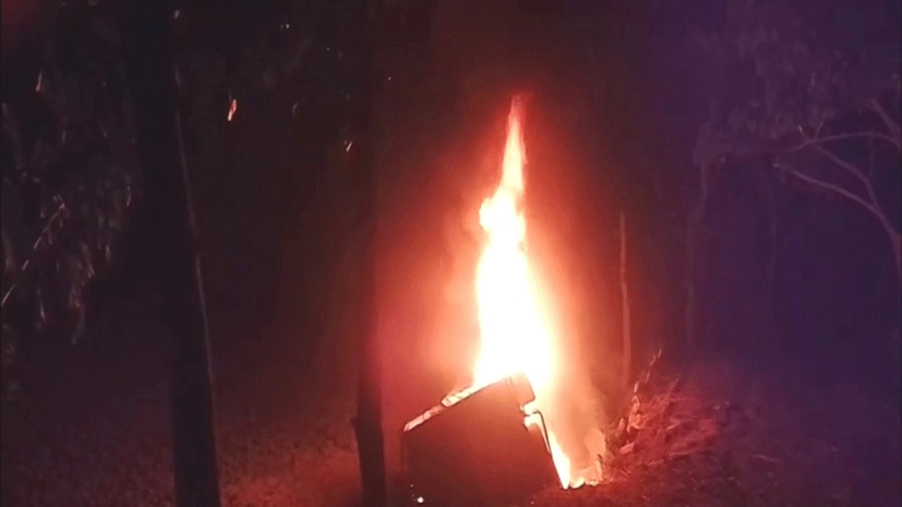 গোপালগঞ্জে গরু চুরি করে পালানোর সময় খাদে পড়ে পিকআপে আগুন  ¦  ছবি: সংগৃহীত