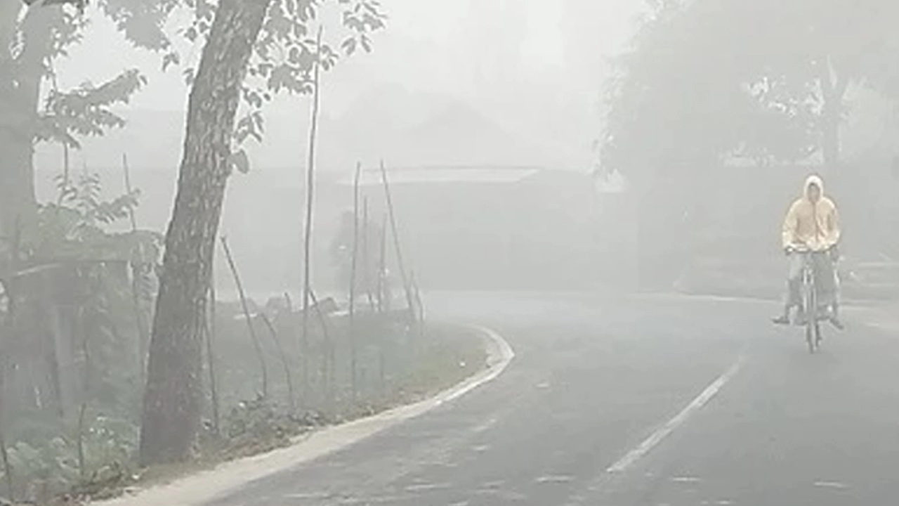 ঘন কুয়াশা ও তীব্র শীত: কুড়িগ্রামে জনজীবন বিপর্যস্ত  ¦ ছবি: সংগৃহীত