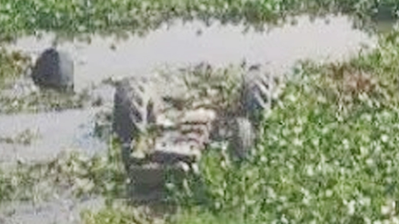 কুমিল্লায় ট্রলি উল্টে একই পরিবারের ৩ নারী নিহত ¦ ছবি: সংবাদদাতা