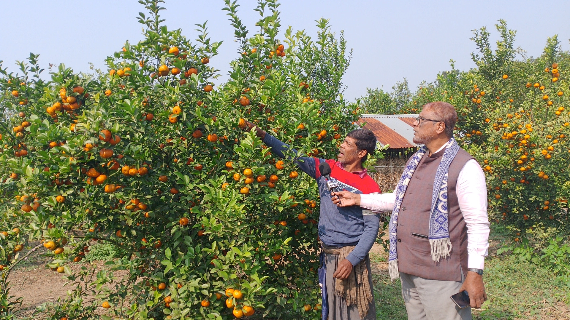 মহেশপুরের হাবিবুর এখন সফল উদ্যোক্তা । ছবি আব্দুর রহমান