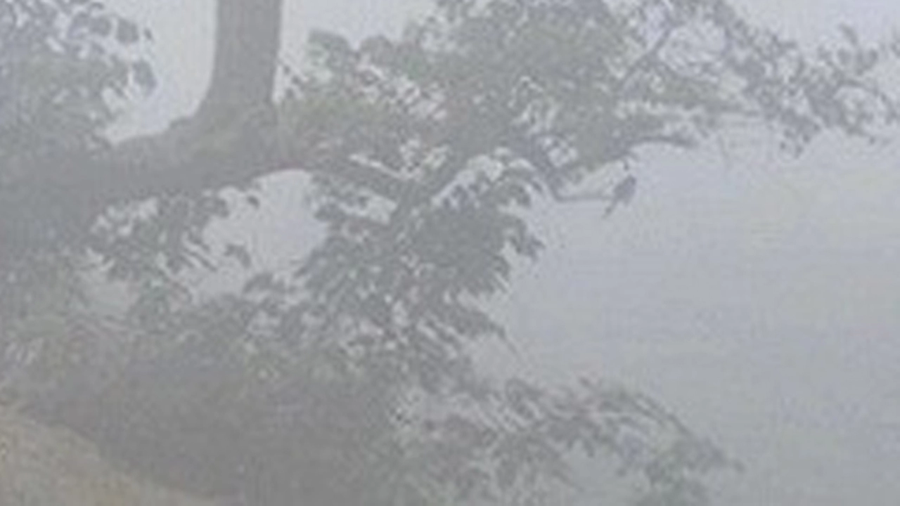 শীতের দাপটে কাঁপছে দিনাজপুর  ¦ ছবি: সংবাদদাতা