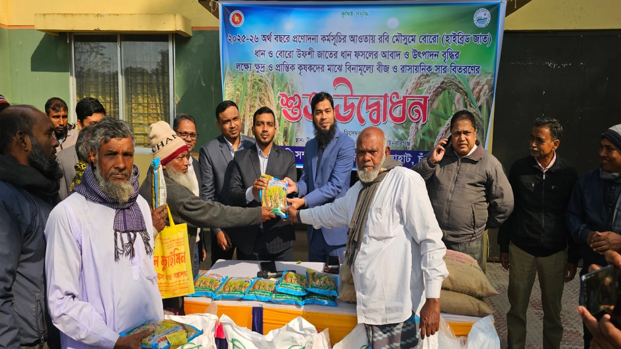 ভোলাহাটে উপজেলার কৃষি প্রণোদনা হিসেবে প্রান্তিক কৃষকদের মাঝে ধানবীজ ও রাসায়নিক সার বিতরণ  ¦ ছবি: প্রতিনিধি