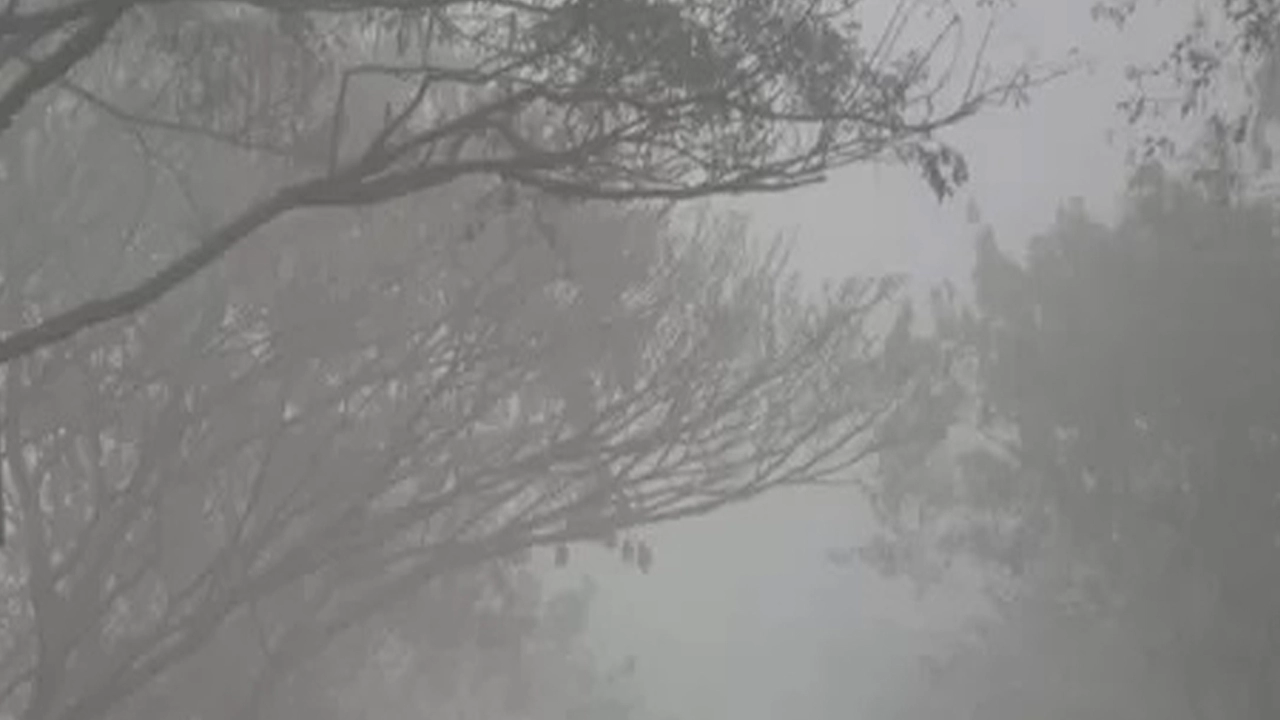দেশের উত্তরে বইছে মৃদু শৈত্যপ্রবাহ, তাপমাত্রা ৯ ডিগ্রিতে ¦ গ্রামের কাগজ