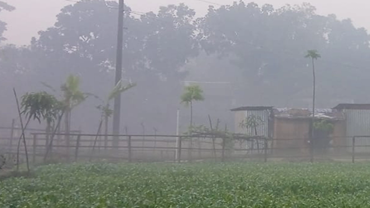 সারা দেশে শীত ও কুয়াশার পূর্বাভাস  ¦ ছবি: সংগৃহীত