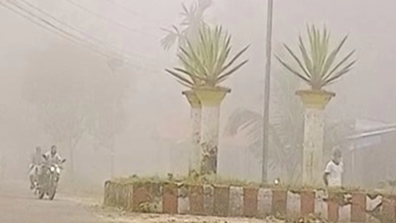 ঘন কুয়াশায় ঢাকা পড়েছে পঞ্চগড়
