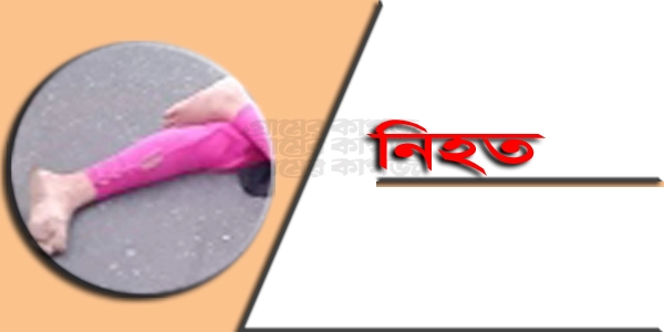 চাড়াভিটায় ট্রাকের ধাক্কায় গৃহবধূ নিহত ¦ ছবি: প্রতীকী
