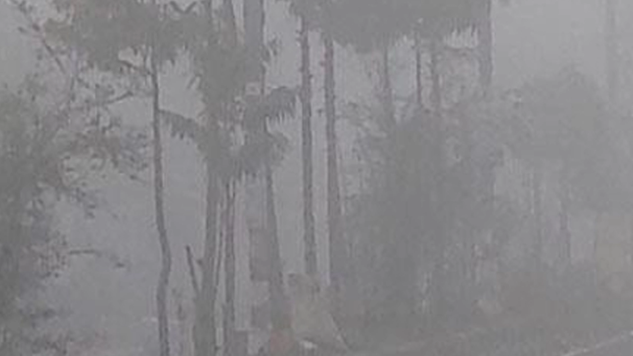 তীব্র শীতে বিপর্যস্ত ঠাকুরগাঁওয়ের জনজীবন ¦ ছবি: সংগৃহীত