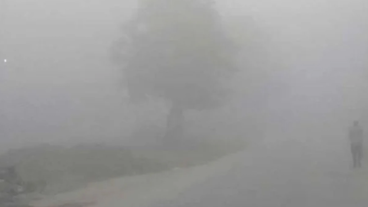 কুয়াশা ও তাপমাত্রা কমার সম্ভাবনা ¦ ছবি: সংগৃহীত