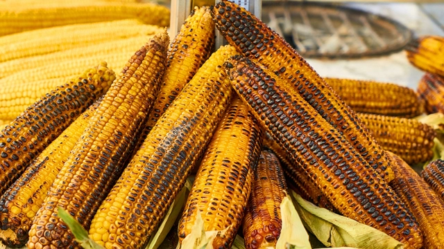ভুট্টা