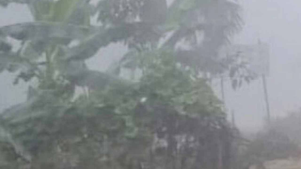 ঘন কুয়াশার পূর্বাভাস, রাতে বাড়বে শীত