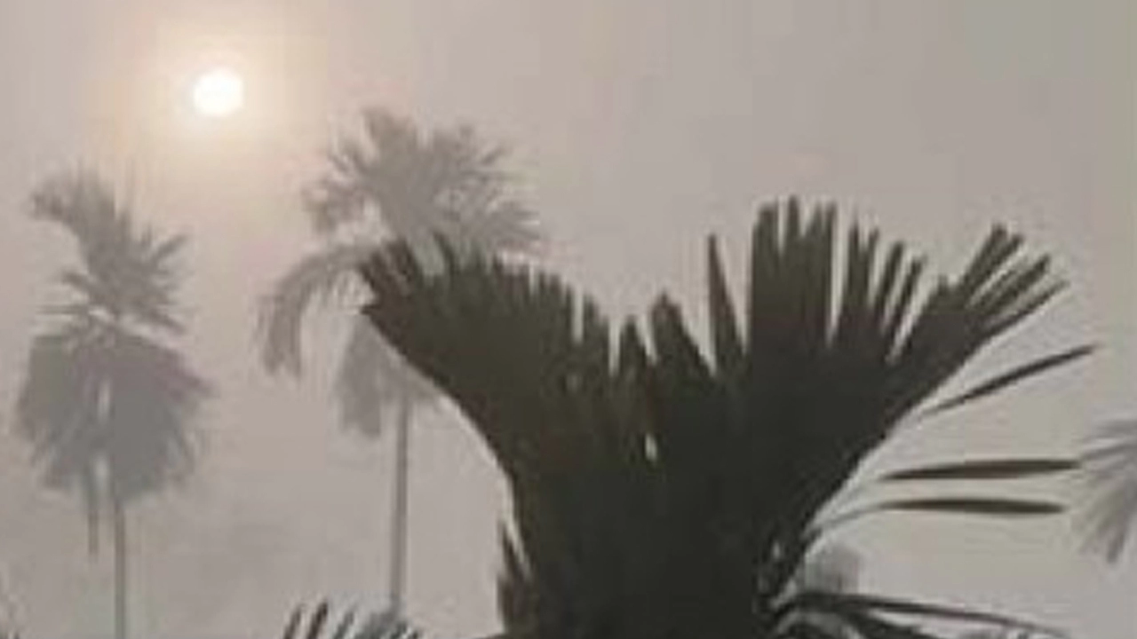 সারা দেশে রাতের তাপমাত্রা কমতে পারে, কুয়াশার সম্ভাবনা