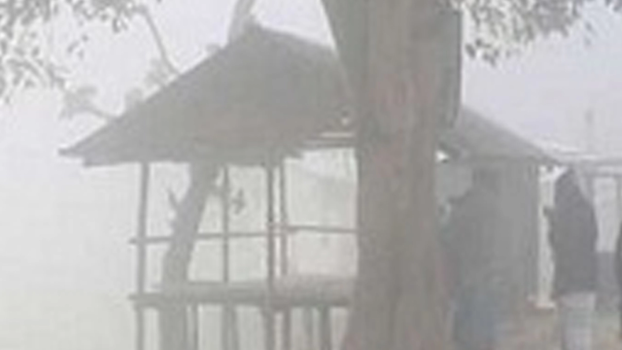 যশোর, চুয়াডাঙ্গা, গোপালগঞ্জসহ ৭ জেলায় বইছে মৃদু শৈত্যপ্রবাহ
