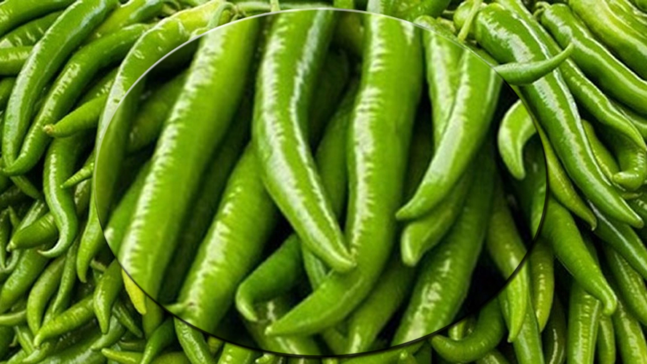কাঁচা মরিচের উপকারিতা