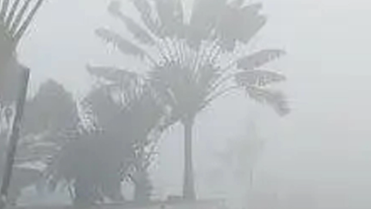 চলতি মাসে একাধিক শৈত্যপ্রবাহের পূর্বাভাস
