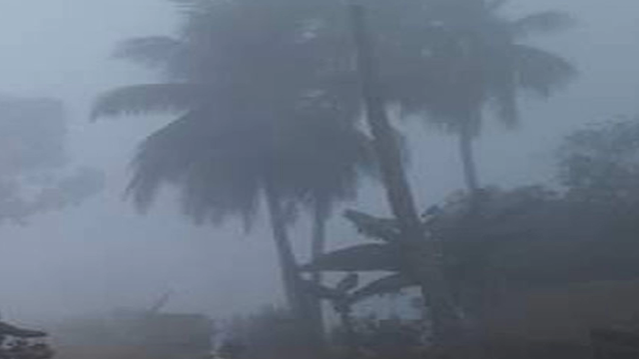 সারাদেশে শীত ও কুয়াশা আরও বাড়তে পারে