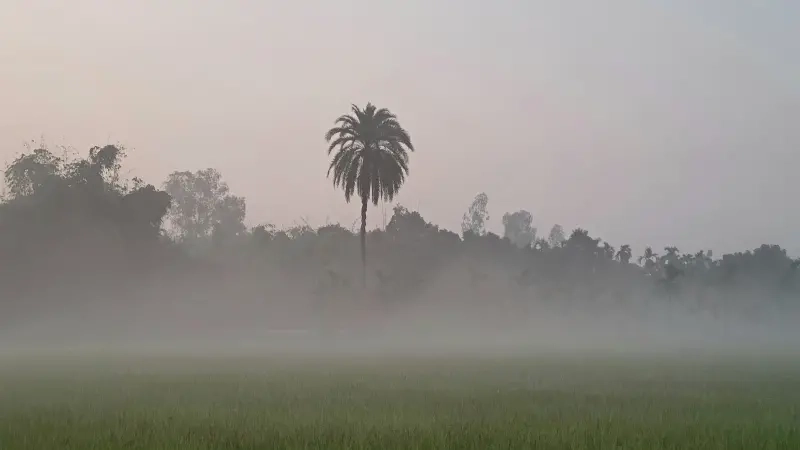 বেলা বাড়লেও কুয়াশার দাপট কমছে না। ছবি: গ্রামের কাগজ