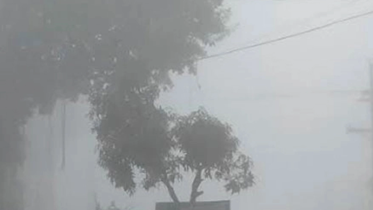 দেশের ৪৪ জেলায় বয়ে যাচ্ছে শৈত্যপ্রবাহ