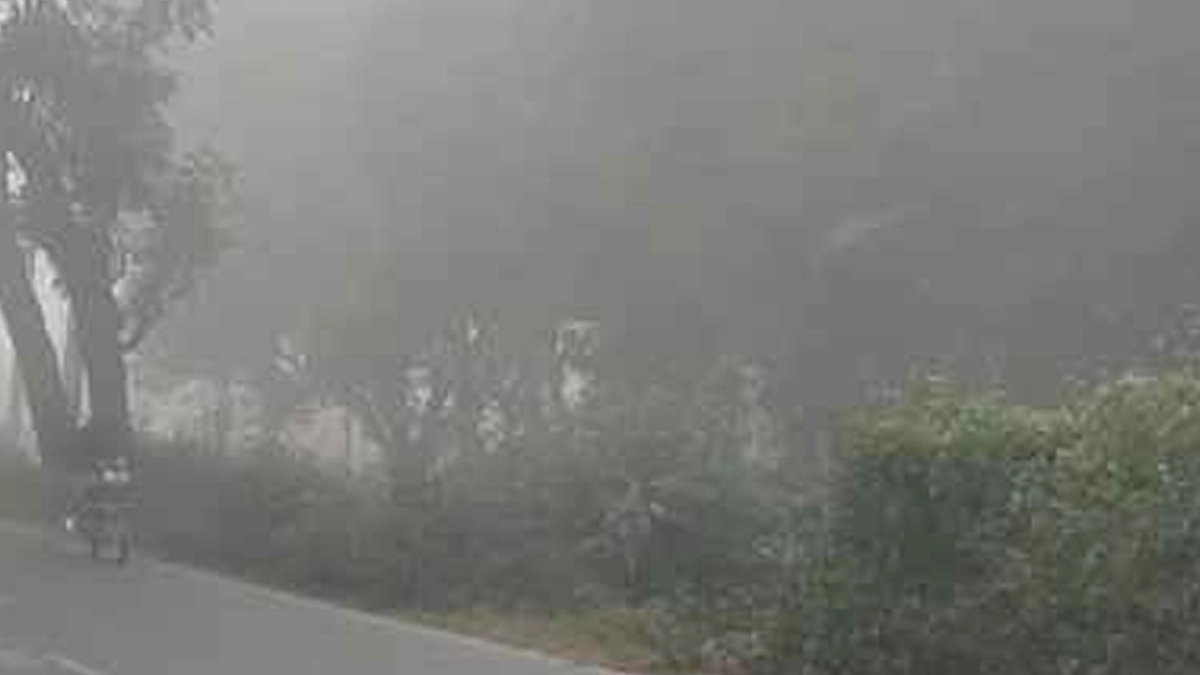 চুয়াডাঙ্গায় হাড়কাঁপানো শীত