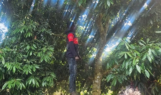 কালীগঞ্জে শ্রমিকের ঝুলন্ত মরদেহ উদ্ধার। ছবি: সংগৃহীত