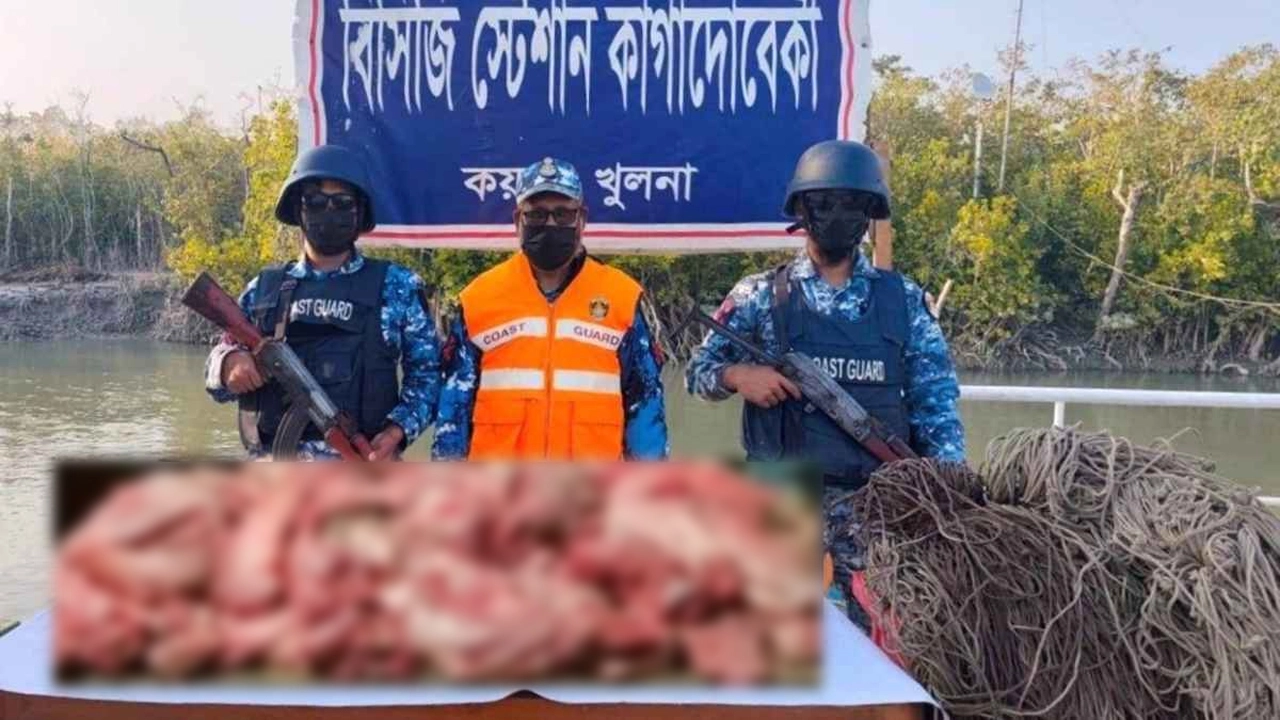 সুন্দরবনে হরিণ শিকারের ফাঁদ ও আড়াই মণ মাংস জব্দ