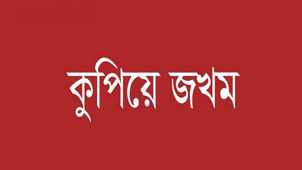 ছবি-সংগৃহীত