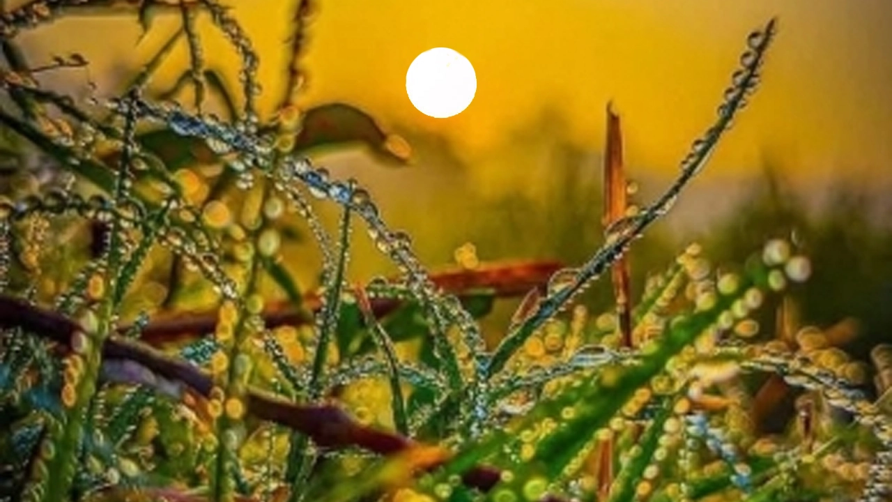 শীতের প্রভাব স্থিতিশীল, বাড়তে পারে তাপমাত্রা