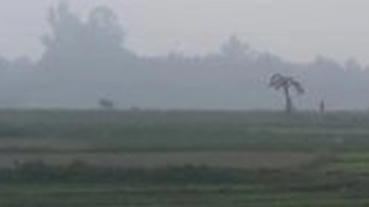 আবহাওয়া পূর্বাভাস: তাপমাত্রা অস্থির, হালকা কুয়াশার সম্ভাবনা