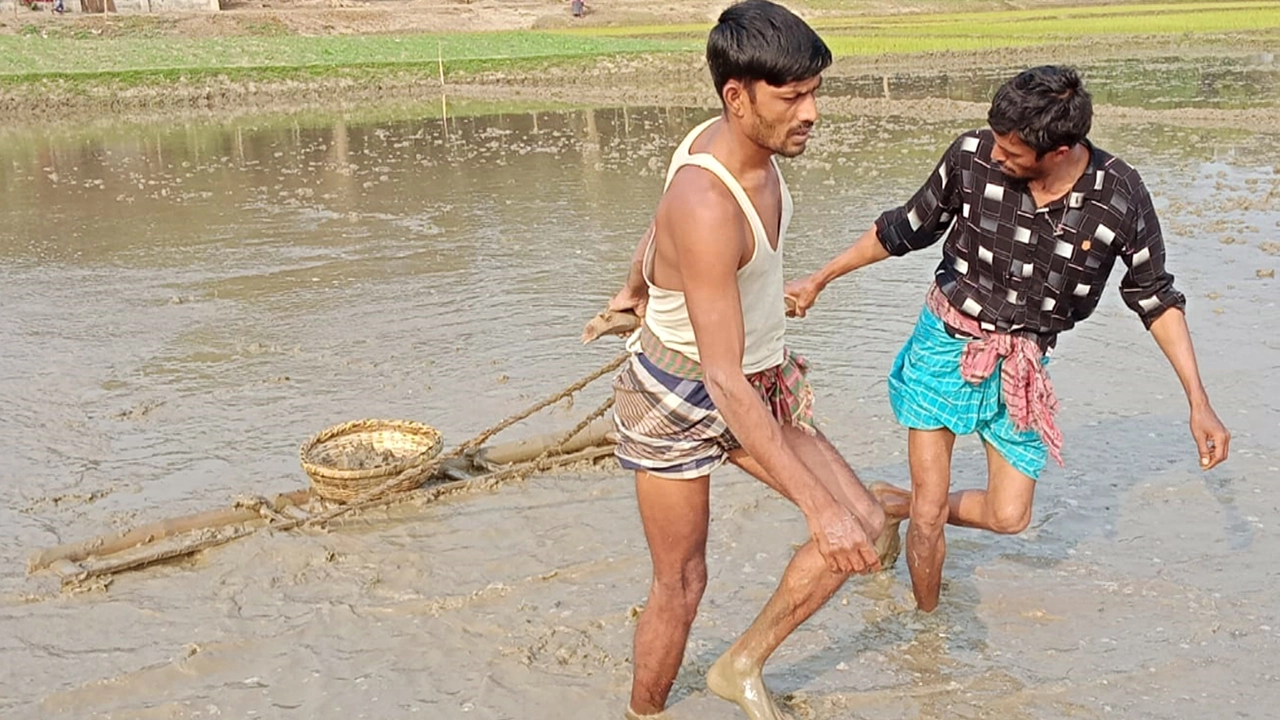 কাদা-পানির বুক চিরে চলছে এক অদম্য লড়াই