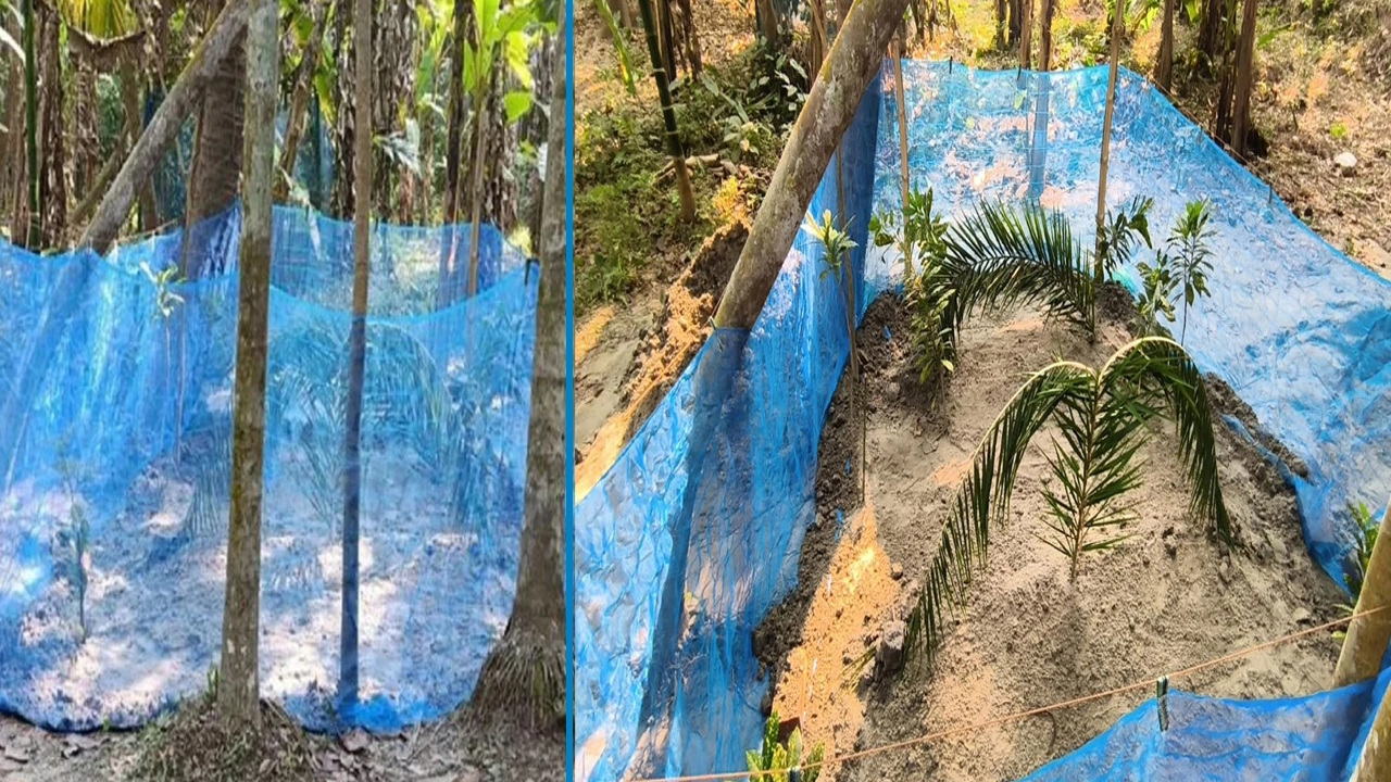 কারাবন্দী ছাত্রলীগ নেতার স্ত্রী ও শিশুকে পাশাপাশি দাফন