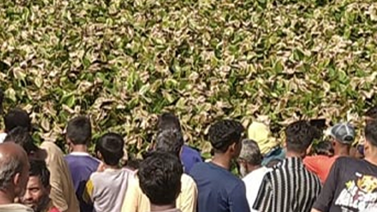 খালে ভাসছিল শিমুল হোসেনের মরদেহ
