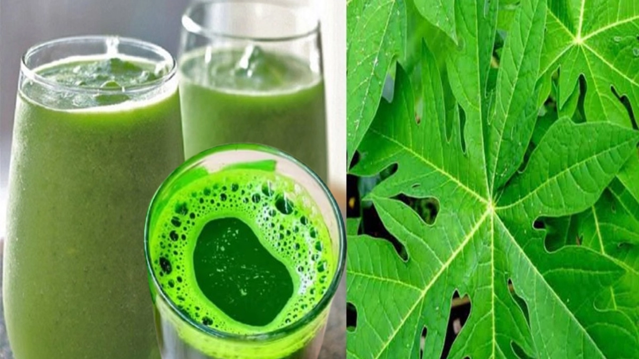 পেঁপে পাতার রসের উপকারিতা