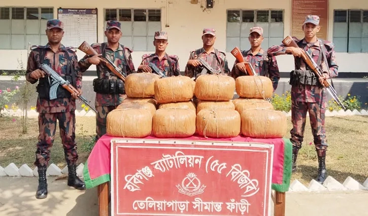 হবিগঞ্জ ব্যাটালিয়ন (৫৫ বিজিবি) সীমান্ত অভিযান পরিচালনা করে ৭৩ কেজি ভারতীয় গাঁজা জব্দ। ছবি: সংগৃহীত