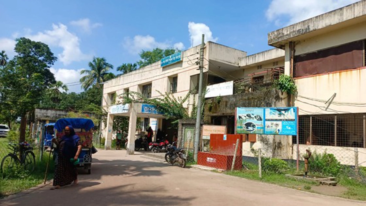 ছবি: ইন্টারনেট থেকে সংগৃহীত