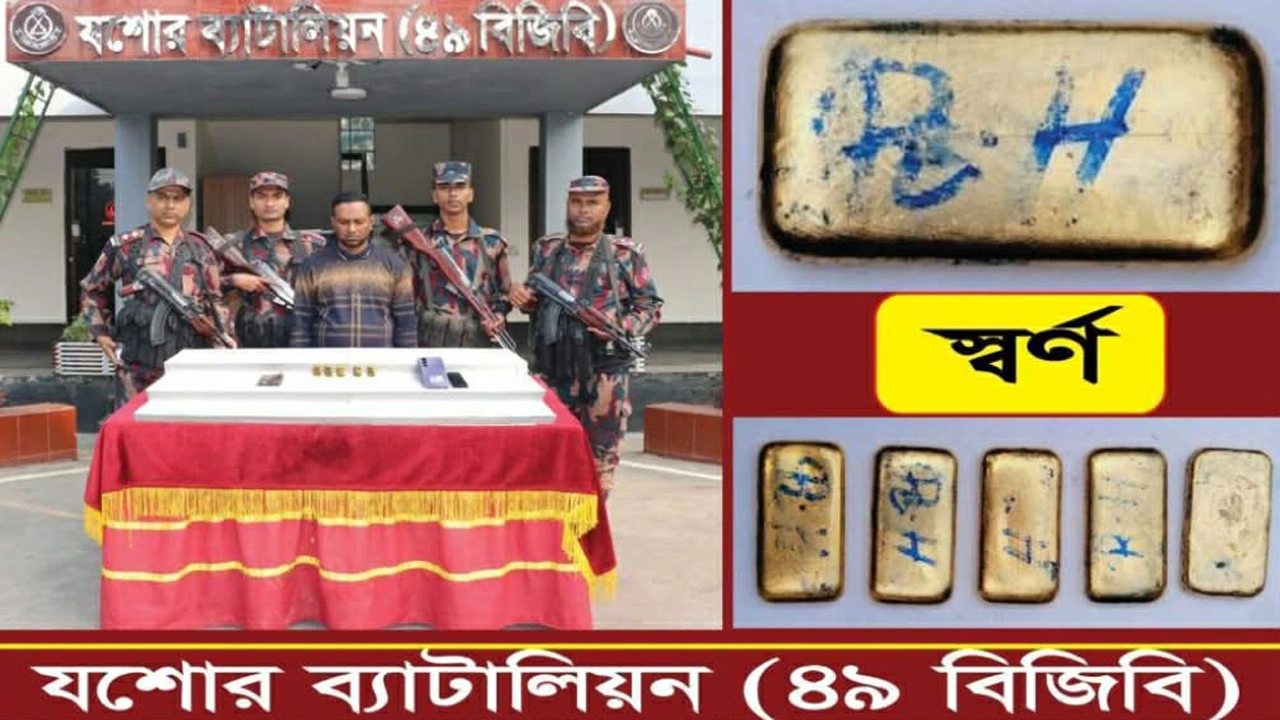 বিজিবির অভিযানে যশোরে ৫ স্বর্ণের বারসহ আব্দুর রউফ আটক। ছবি: গ্রামের কাগজ