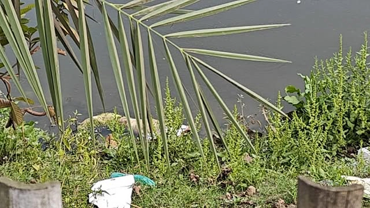যশোরে ভোলা ট্যাঙ্ক পুকুরে অজ্ঞাত ব্যক্তির পা
