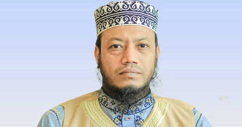 আমির হামজার