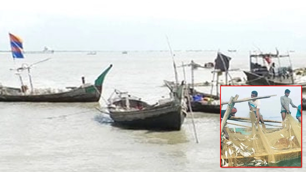 পদ্মা-মেঘনায় দুই মাস ইলিশ ধরা বন্ধ