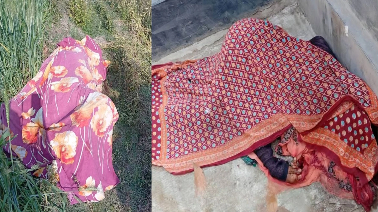 ঈশ্বরদীতে বাড়ির উঠানে দাদির, সরিষাক্ষেতে মিলল নাতনির মরদেহ