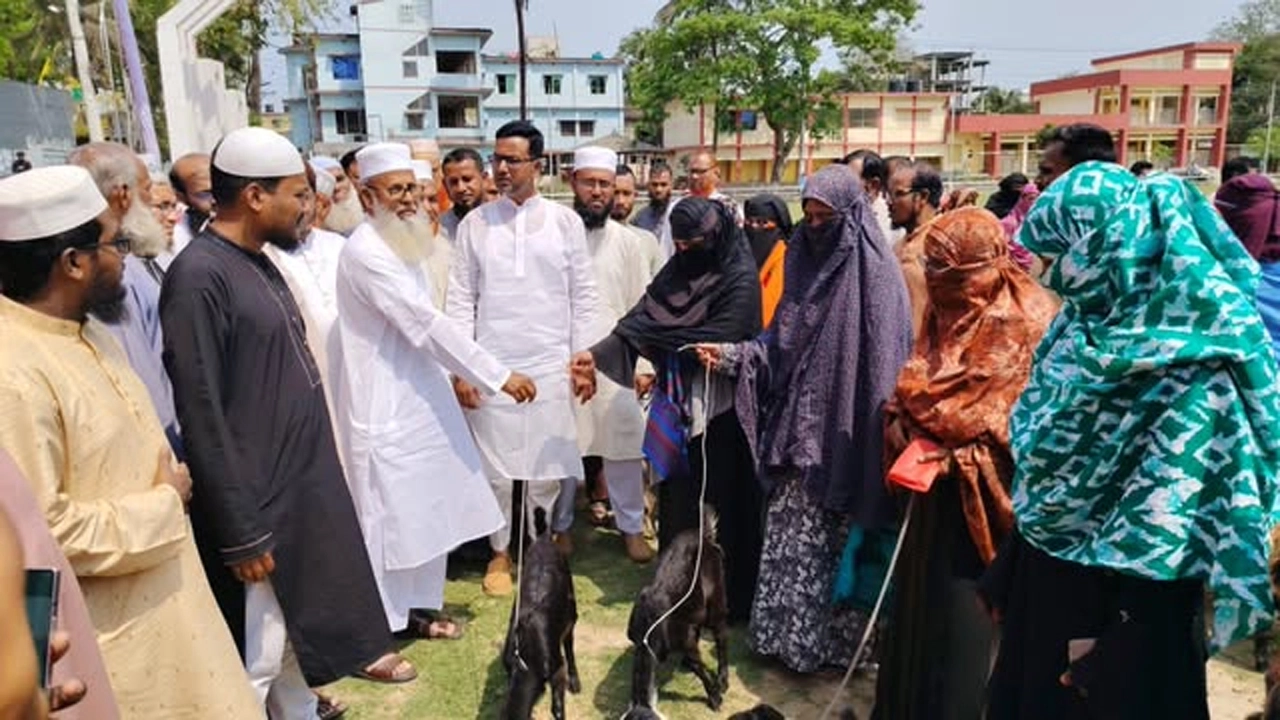 কেশবপুরে হতদরিদ্র নারীদের মাঝে ছাগল বিতরণ
