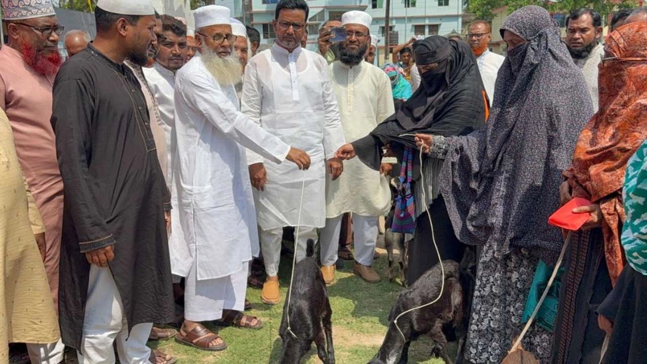যশোরের কেশবপুরে হতদরিদ্র নারীদের আত্মকর্মসংস্থানের লক্ষ্যে ৫০টি ছাগল বিতরণ। ছবি: প্রতিনিধি
