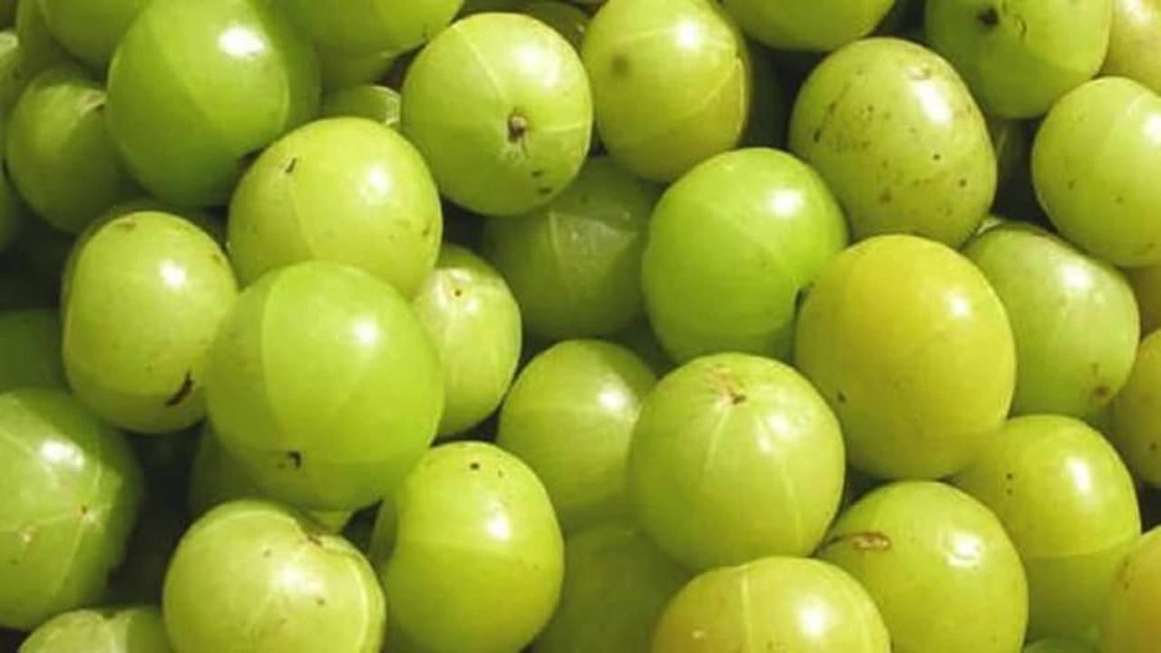 আমলকির উপকারিতা ও অপকারিতা