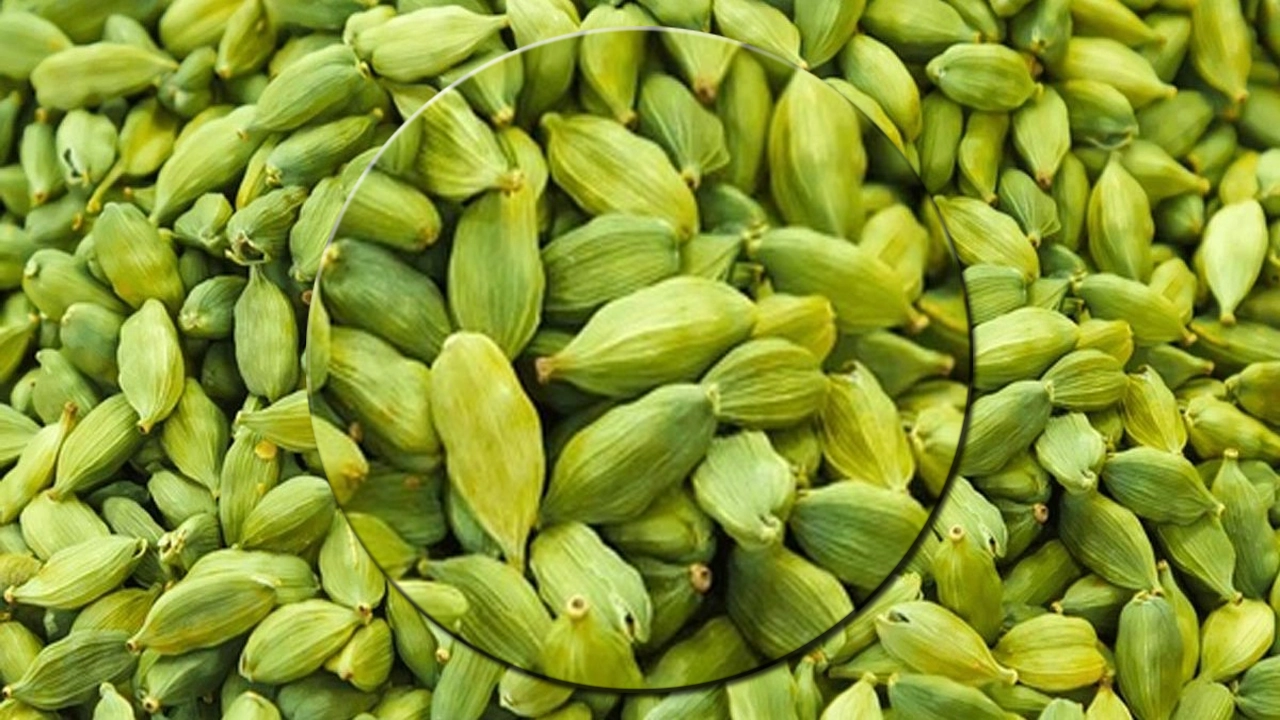 এলাচের উপকারিতা ও ব্যবহার