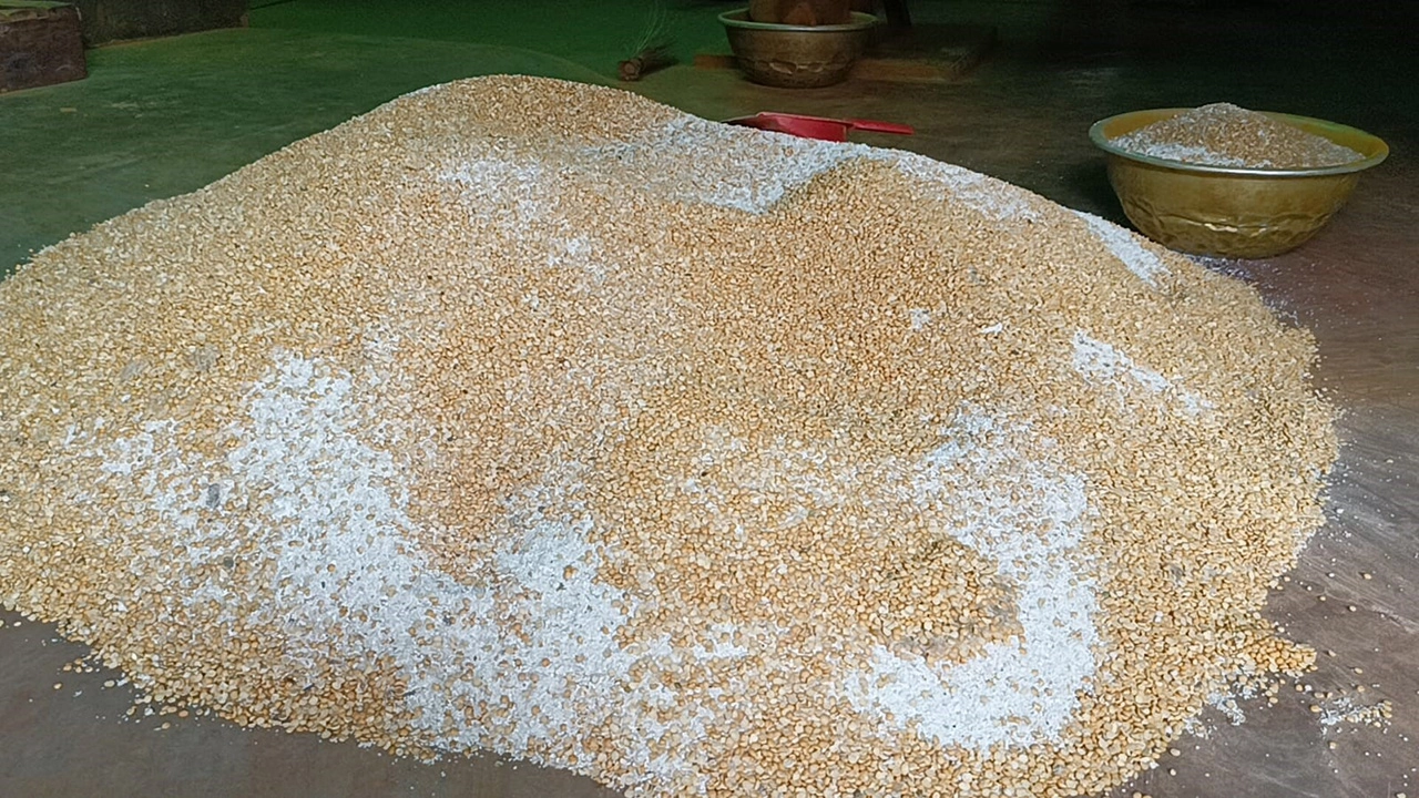 কালীগঞ্জে চাল,কুড়া ও ভুট্টা মিশিয়ে তৈরি হচ্ছে গুড়ো হলুদ!