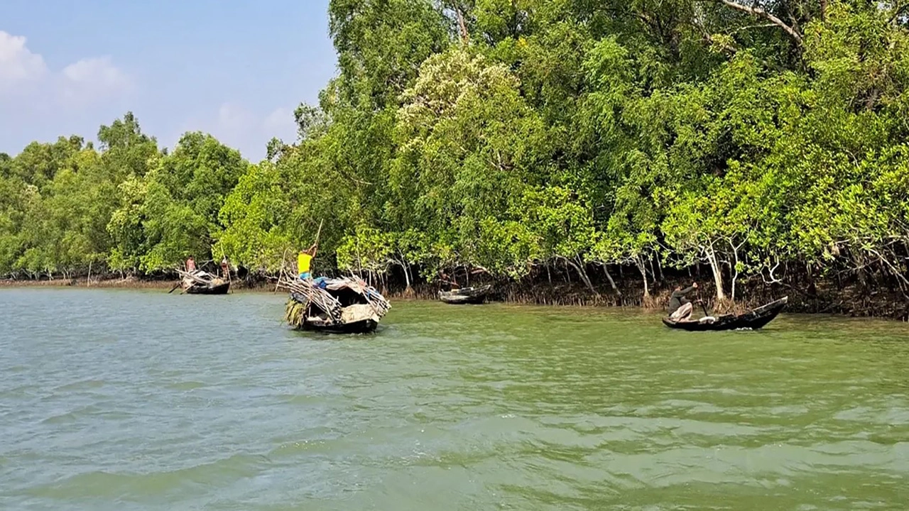 ছবি-সংগৃহীত