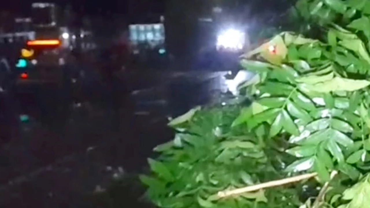 চুয়াডাঙ্গায় ভয়াবহ কালবৈশাখী ঝড়ে ছাদ থেকে পড়ে এক বৃদ্ধের মর্মান্তিক মৃত্যু হয়েছে।