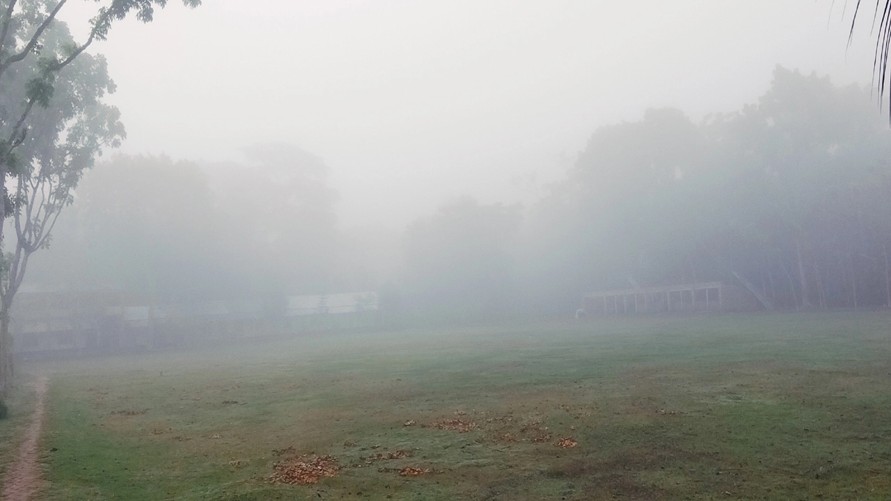 চৈত্রের শেষের দিকের সকালে শীতের কুয়াশা