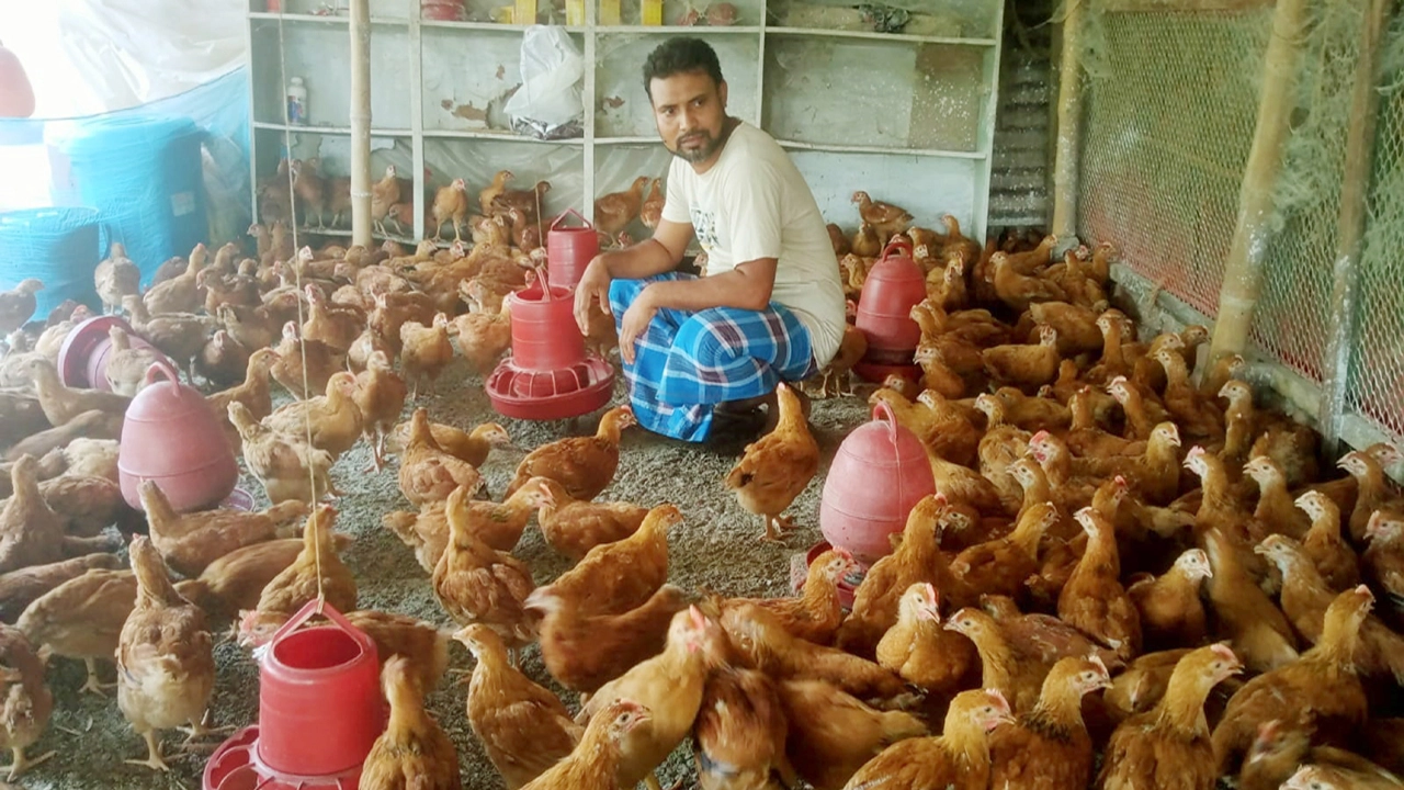 মুরগিতেই মুরাদের বাজিমাত