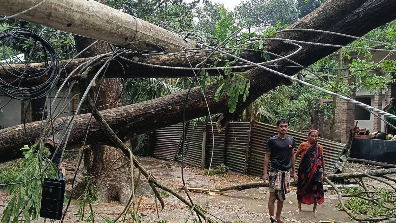 কালবৈশাখী ঝড়ে ক্ষতিগ্রস্ত গাছ ও বিদ্যুতের খুঁটি । ছবি : গ্রামের কাগজ
